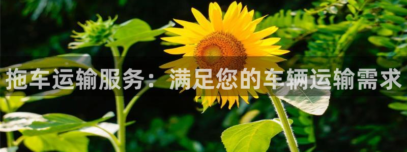28圈游戏官网入口：拖车运输服务：满