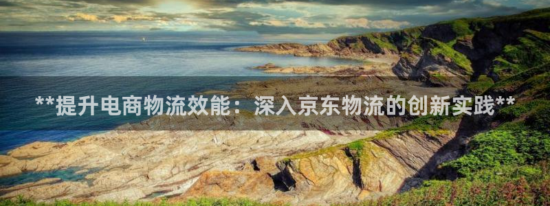 28圈PG电子游戏：**提升电商物流