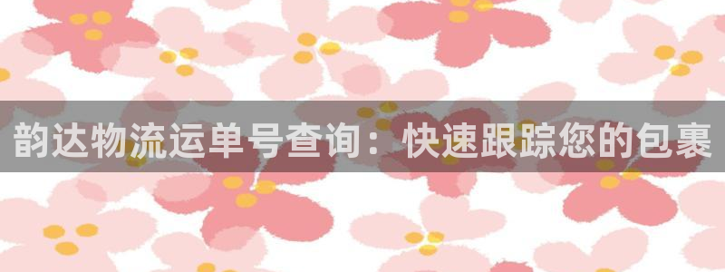 28圈可以退款吗：韵达物流运单号查询