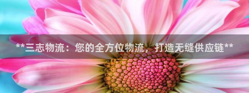 28圈注册入口与教程：**三志物流：