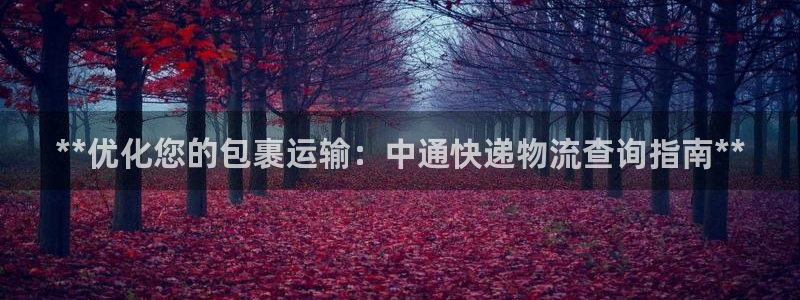 28圈可以退款吗：**优化您的包裹运