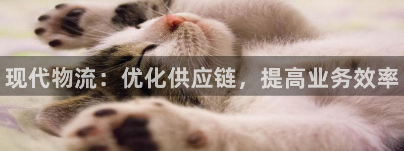 28圈注册流程：现代物流：优化供应链