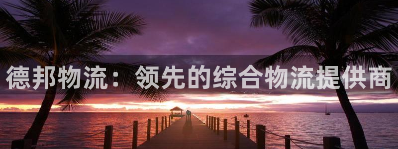 28圈官方官网：德邦物流：领先的综合