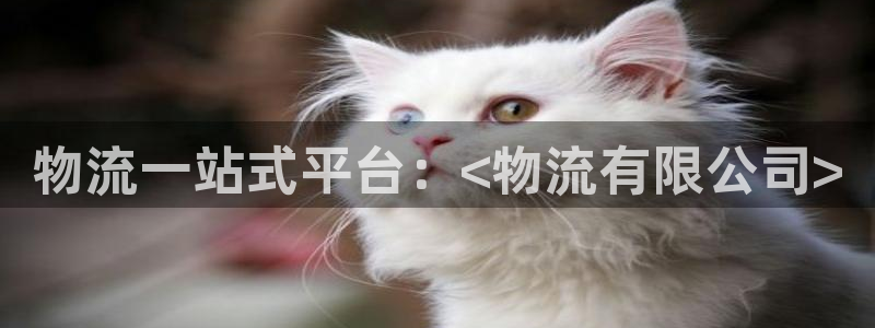 28圈电子：物流一站式平台：<物流有