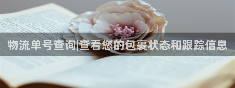 28圈二维码：物流单号查询|查看您的