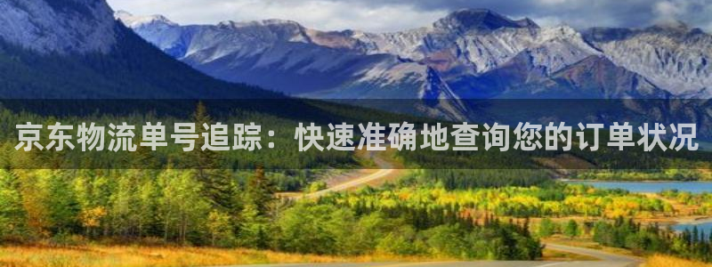 28圈注册网站多少钱一个：京东物流单