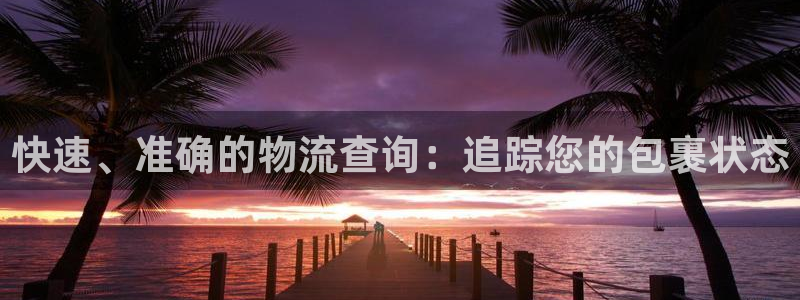 28圈充值不处理：快速、准确的物流查