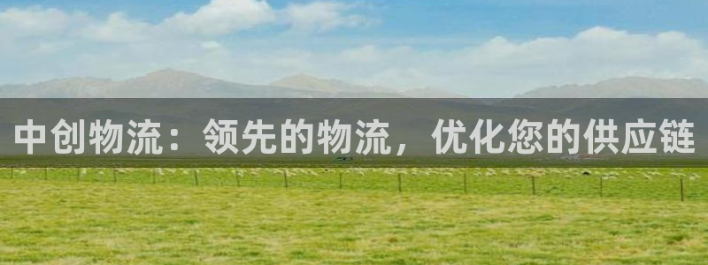 28圈官方官网版：中创物流：领先的物