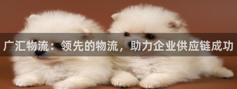 28圈昵称：广汇物流：领先的物流，助