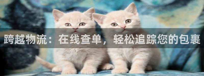 28圈违法吗