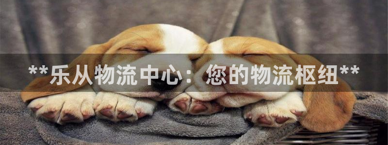 28圈比特28真实吗：**乐从物流中