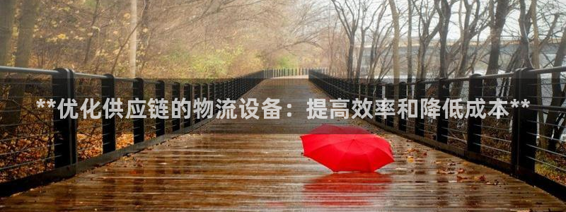 28圈加拿大官网：**优化供应链的物