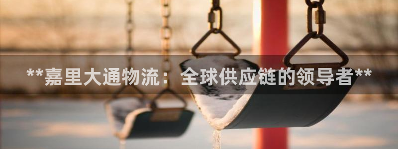 28圈软件是什么：**嘉里大通物流：