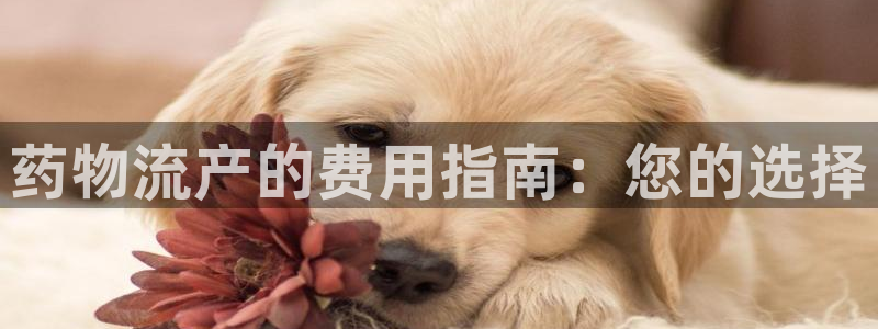 28圈下分了不给钱