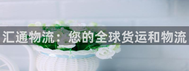 28圈注册登录流程：汇通物流：您的全