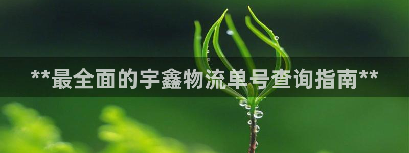 28圈网站怎么注册：**最全面的宇鑫