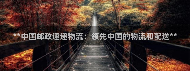 28圈加拿大模拟器：**中国邮政速递