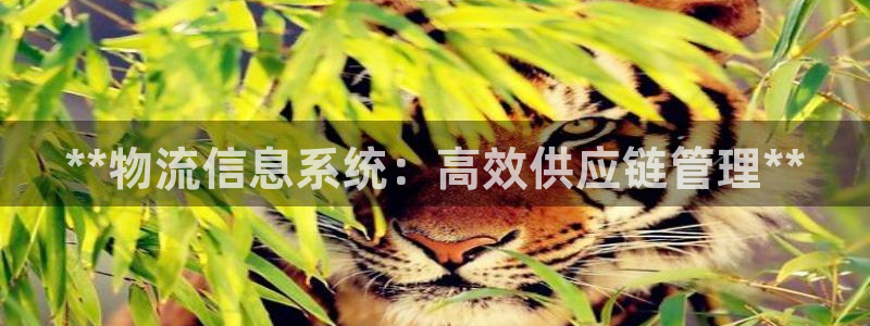 28圈p图上分下款通道：**物流信息