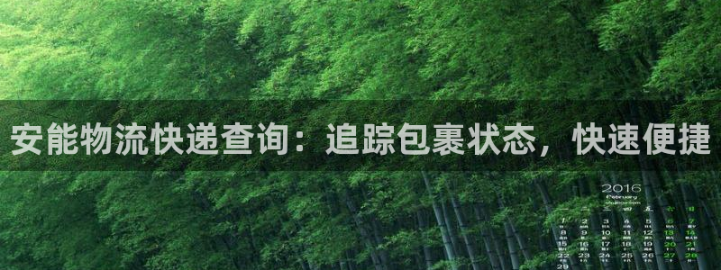 28圈激活码：安能物流快递查询：追踪