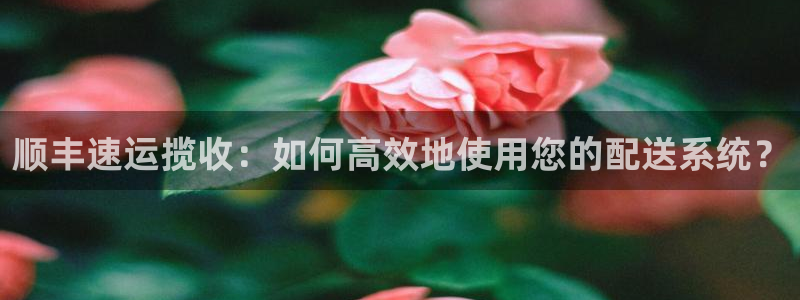 28圈返水怎么算的：顺丰速运揽收：如