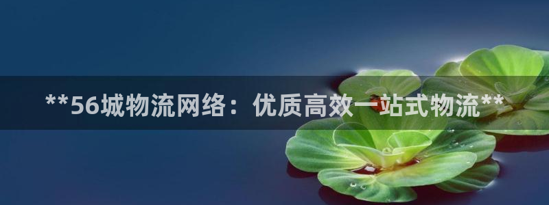28圈龙虎：**56城物流网络：优质