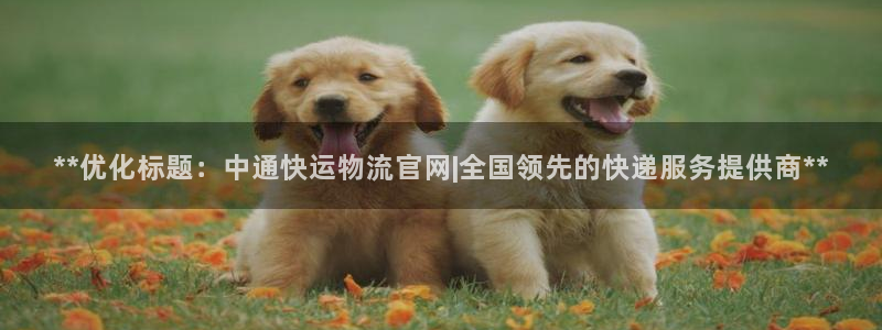 28圈注册链接入口：**优化标题：中