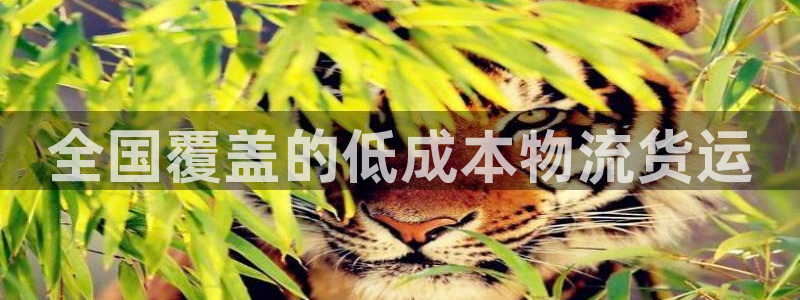 28圈平台注册：全国覆盖的低成本物流