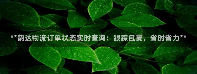 28圈加拿大开奖：**韵达物流订单状