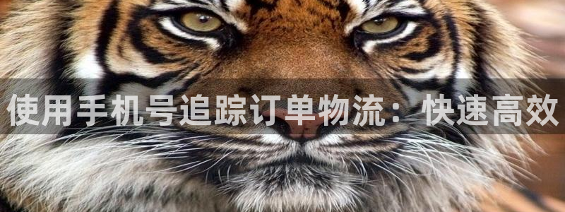 28圈违法吗：使用手机号追踪订单物流