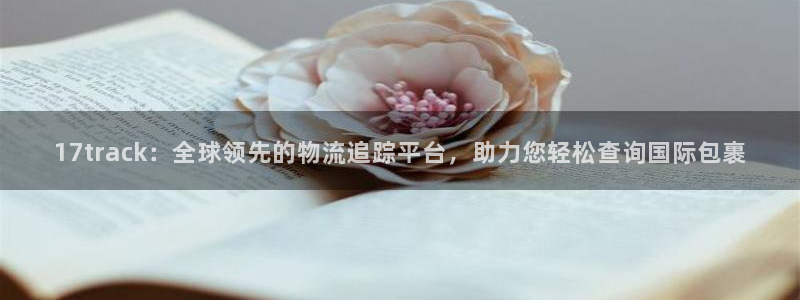 28圈.ccmo：17track：全