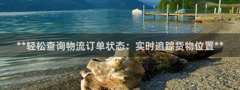 28圈注册教程：**轻松查询物流订单