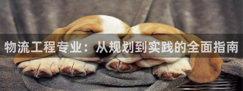 28圈加拿大官网