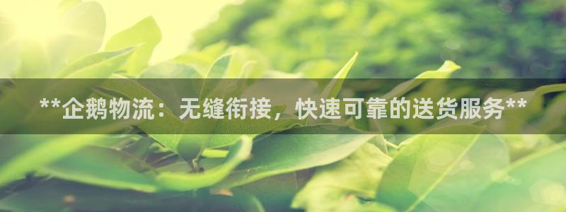 28圈加拿大真假怎么看：**企鹅物流