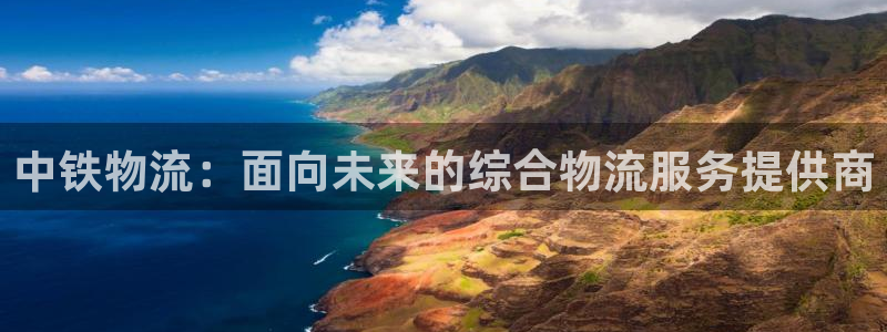 28圈注册流程：中铁物流：面向未来的