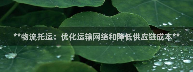 28圈加拿大最新版：**物流托运：优
