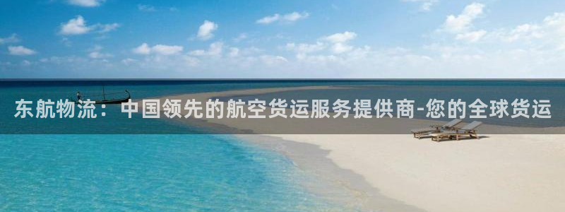 南宫28圈怎么注册：东航物流：中国领