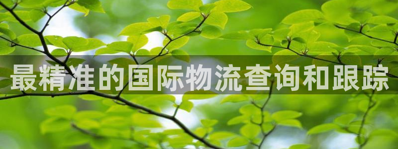28圈自行车图片大全：最精准的国际物