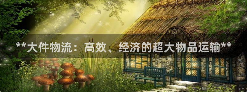 加拿大28圈是什么：**大件物流：高