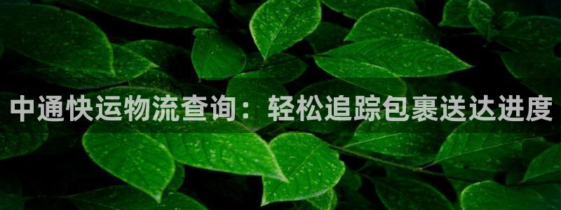 28圈注册地址：中通快运物流查询：轻