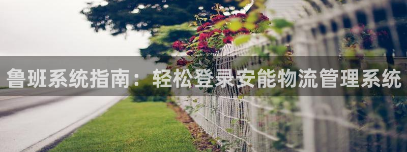 28圈口戒指是多大：鲁班系统指南：轻