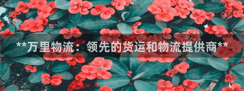 28圈app能退款吗：**万里物流：