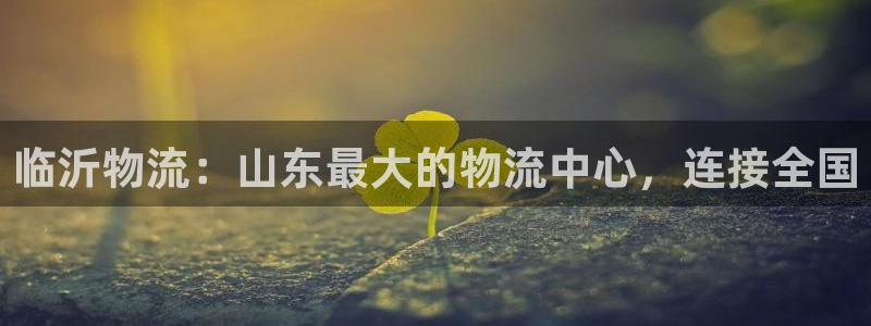 28圈网赌案件：临沂物流：山东最大的