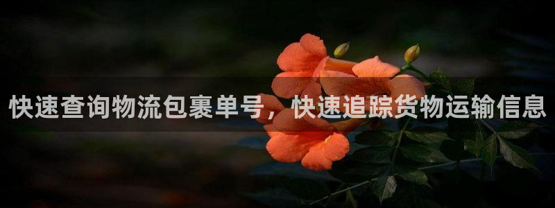 28圈登录用户名登录不上：快速查询物