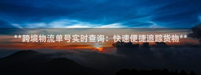 28圈网赌有什么风险：**跨境物流单