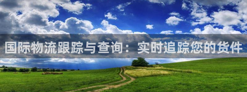 28圈人头费：国际物流跟踪与查询：实