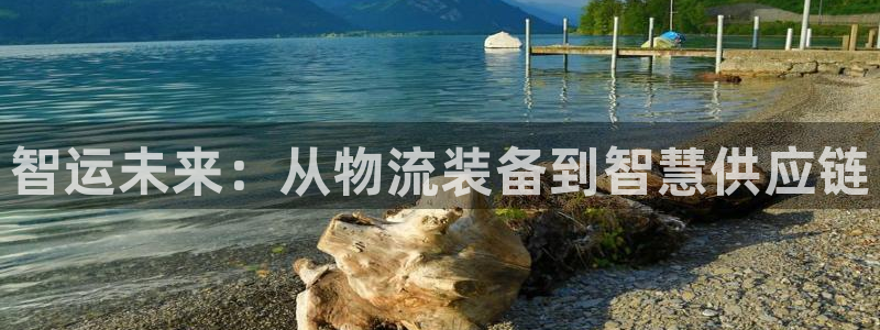28圈麻将：智运未来：从物流装备到智