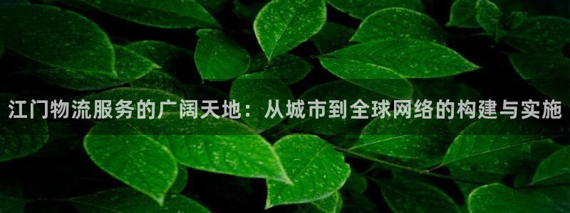 28圈是干嘛的：江门物流服务的广阔天