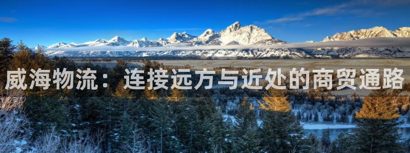 28圈加拿大最新版：威海物流：连接远