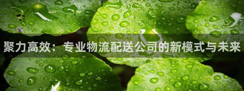 28圈充值为什么充不了：聚力高效：专