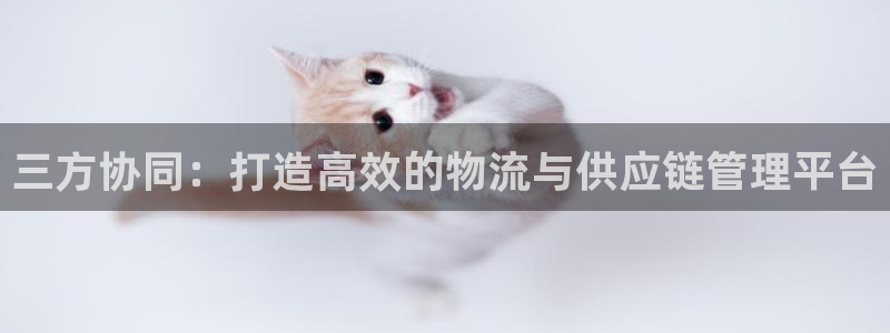 28圈.ccmpc预测